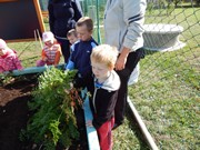 Sklízíme úrodu na zahrádce